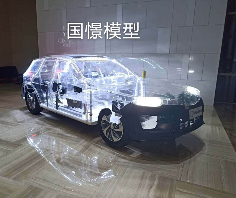 蒲城县透明车模型